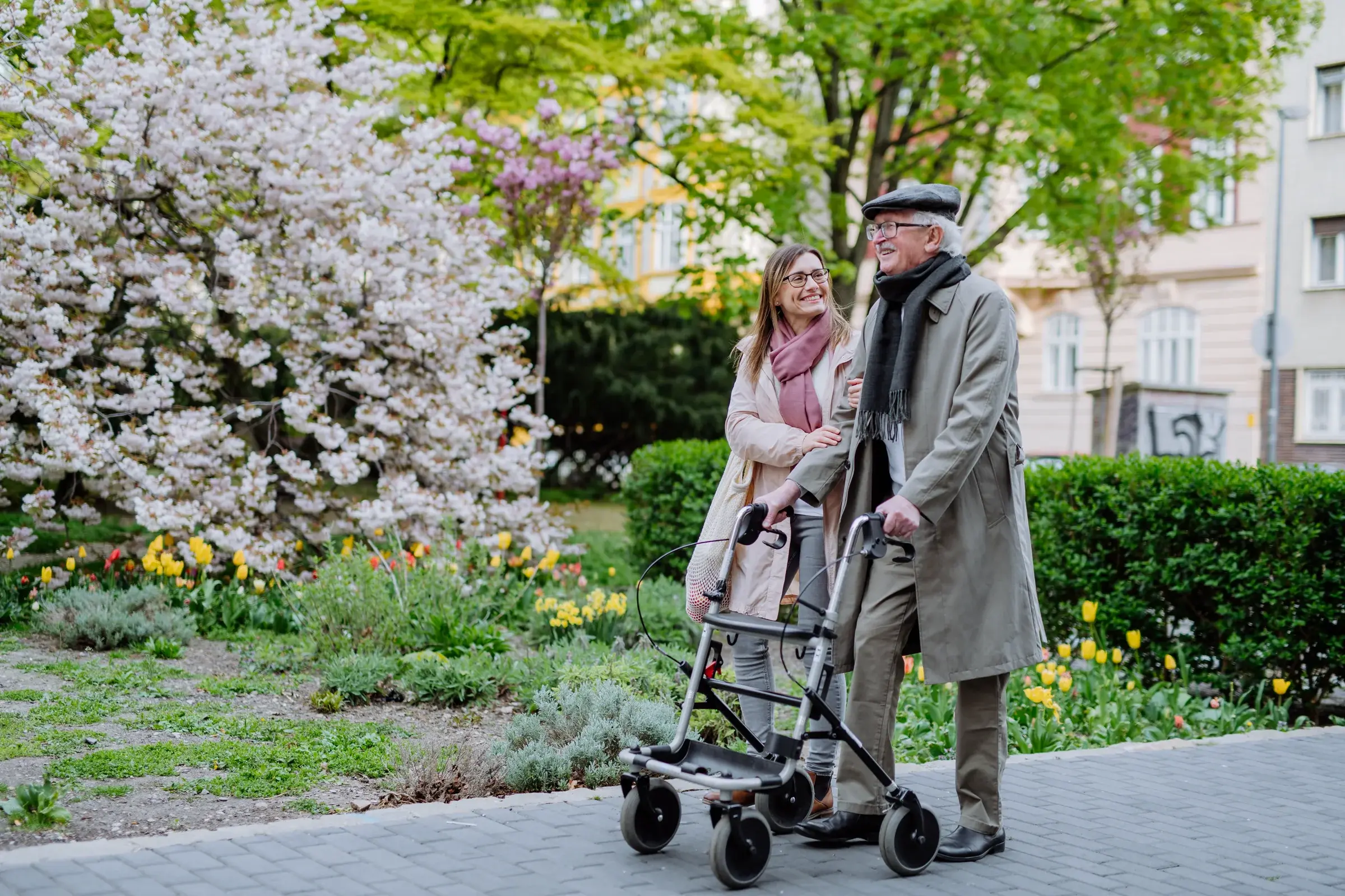 An older man walking outdoors with a rollator, accompanied by his daughter, past blossom and tulips